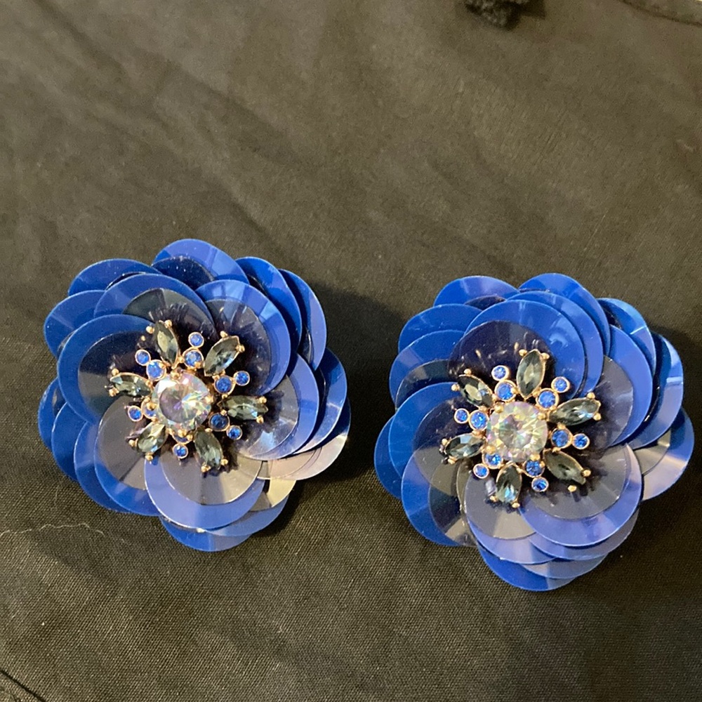 Earrings - Picture 1 of 3